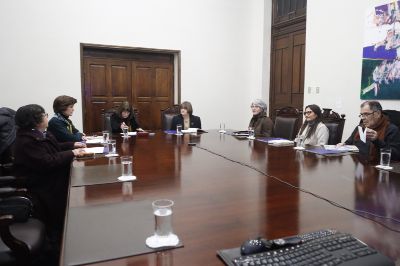 El reconocimiento fue creado por la Universidad de Chile con el propósito de promover las garantías de no repetición y memoria, y busca reconocer a una persona que haya “realizado una destacada contribución en materia de Derechos Humanos y democracia en el ámbito nacional”. 